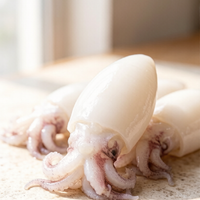 Cleaned Baby Cuttlefish