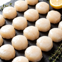 Fresh Scallop Meat (Scallops)