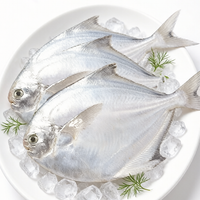 Fresh Silver Pomfret (Butterfish)
