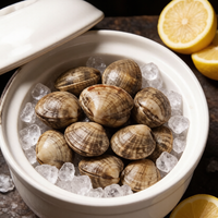 Vacuum-Packed Fresh Clams