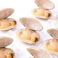 Vacuum-Packed Fresh Clams