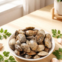 Vacuum-Packed Fresh Clams