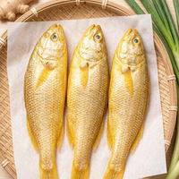Fresh Yellow Croaker (Small Yellow Croaker)